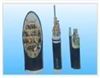 HYA電(diàn)纜,HYA23電(diàn)纜,HYA53電(diàn)纜